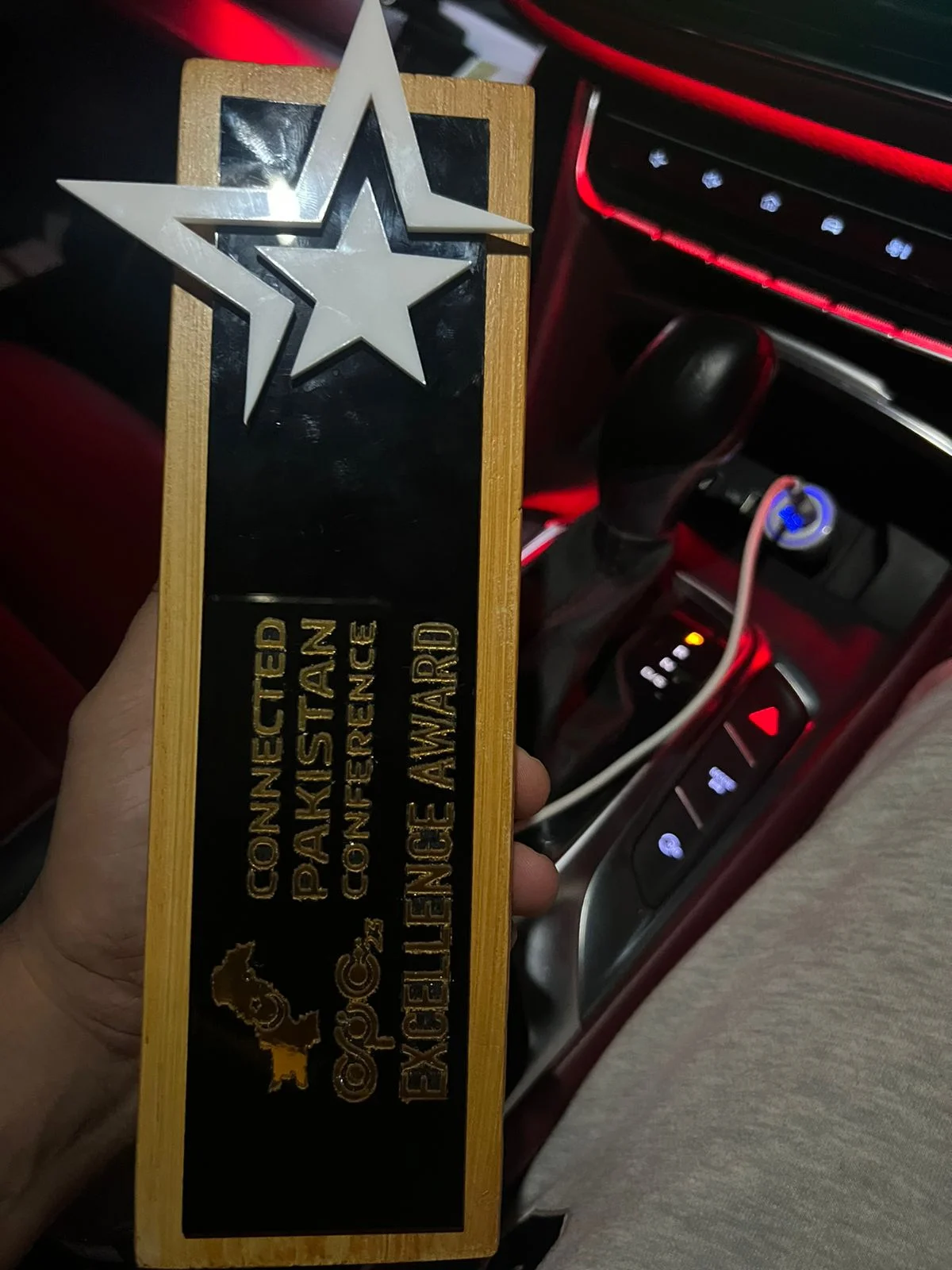 Excellence Award, Connected Pakistan
